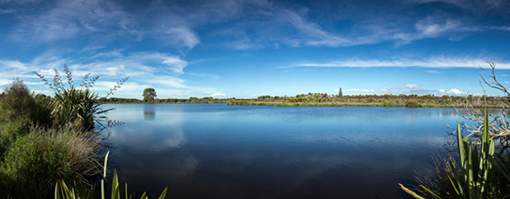 Waiwhakareke Natural Heritage Park Trip Packages