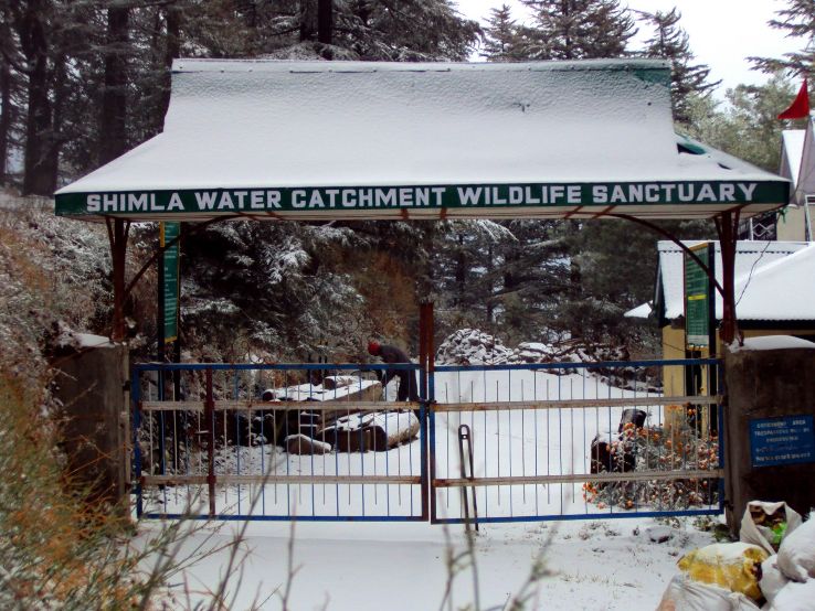 Shimla Water Catchment Sanctuary Trip Packages