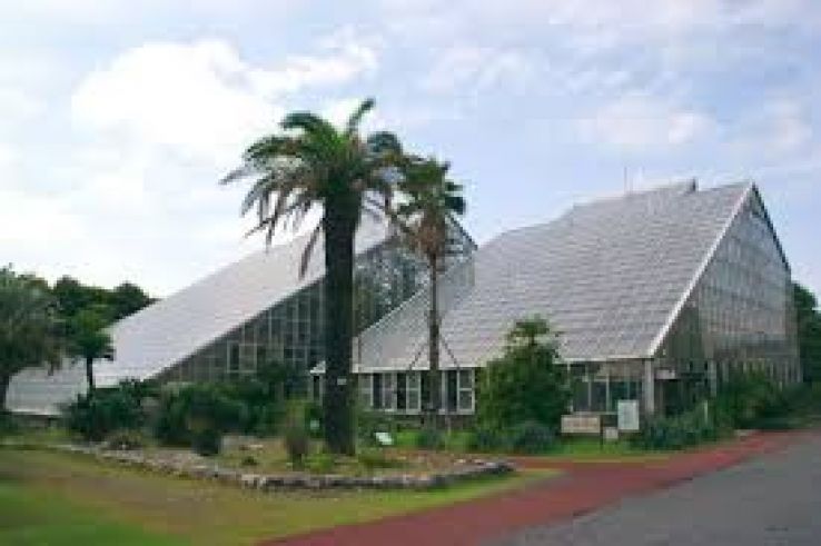 Tsukuba Trip Packages