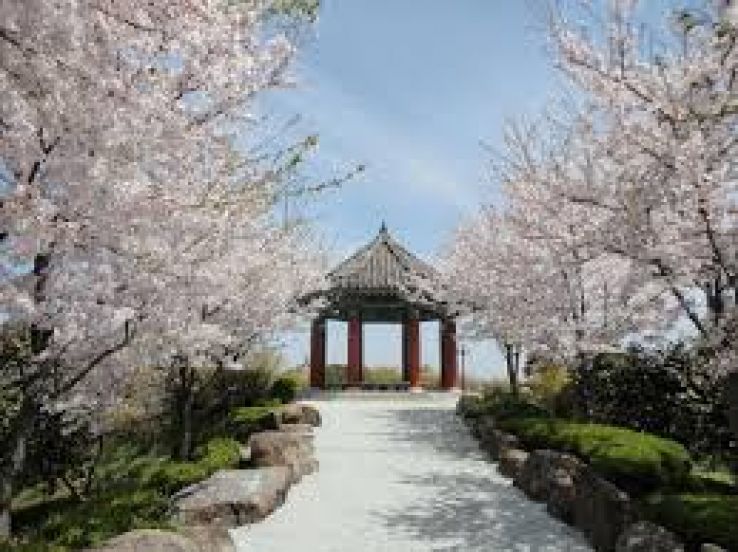 Yudal Mountain Trip Packages