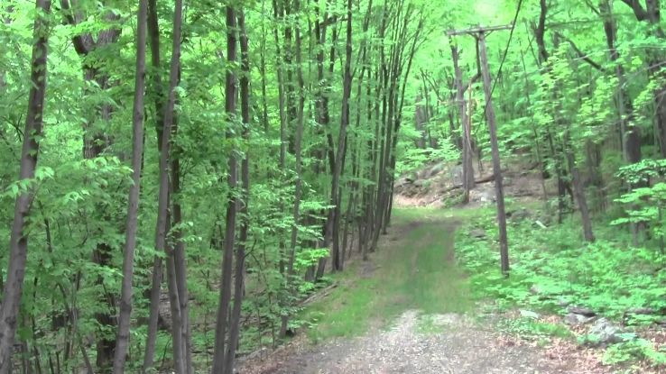 Webster Conservation Area Trip Packages