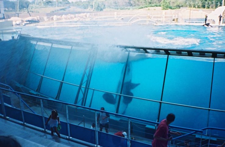 Marineland of Antibes Trip Packages