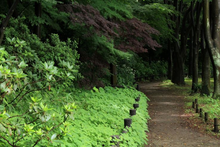 Izumi no Mori Trip Packages