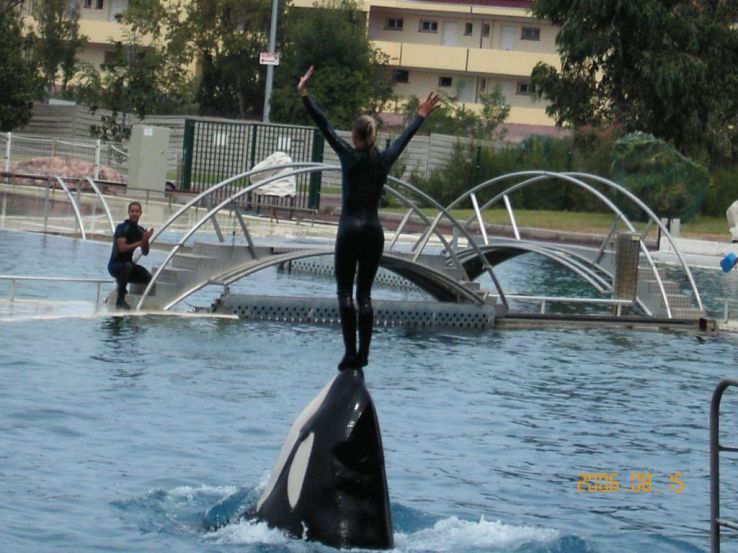 Marineland of Antibes Trip Packages