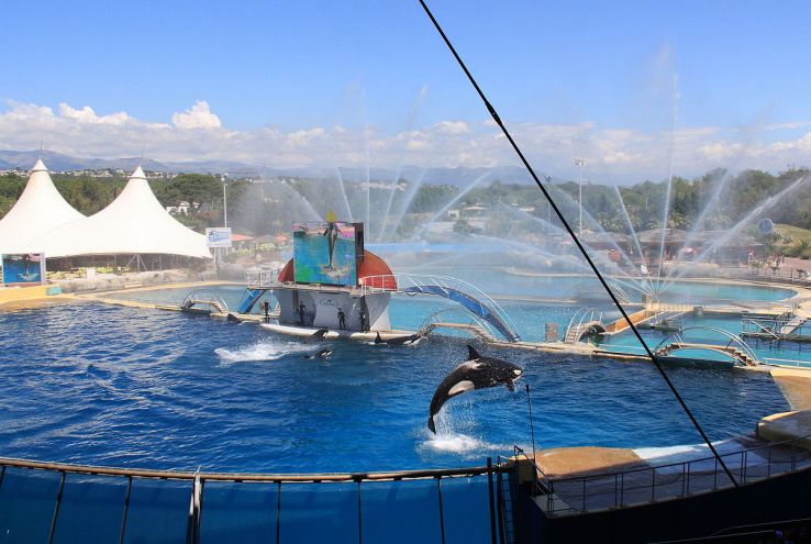 Marineland of Antibes Trip Packages