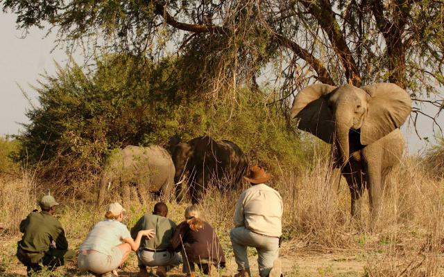 Beautiful 5 Days Lusaka, Zambia with Livingstone Tour Package