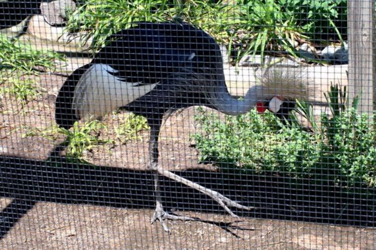 Zootah at Willow Park Trip Packages