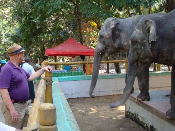 Yangon Zoological Gardens Trip Packages