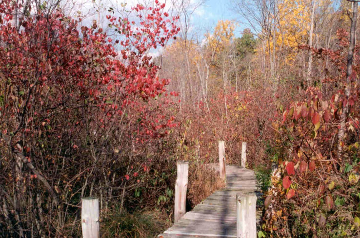 Stamford Trip Packages