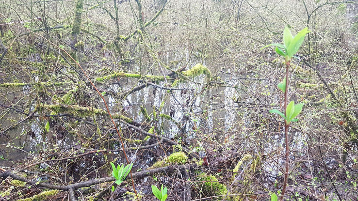 Surrey Bend Regional Park Trip Packages