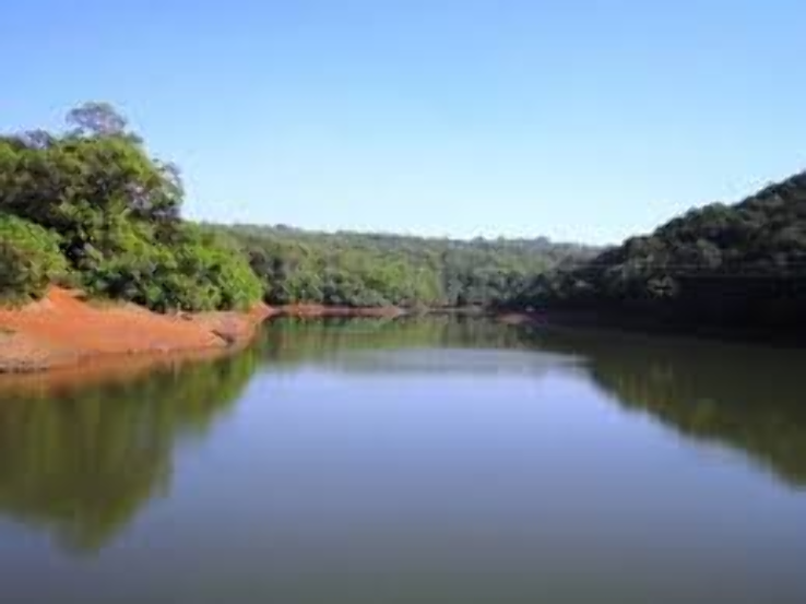 Charlotte Lake Trip Packages