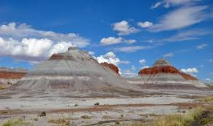 Petrified Forest National Park Trip Packages