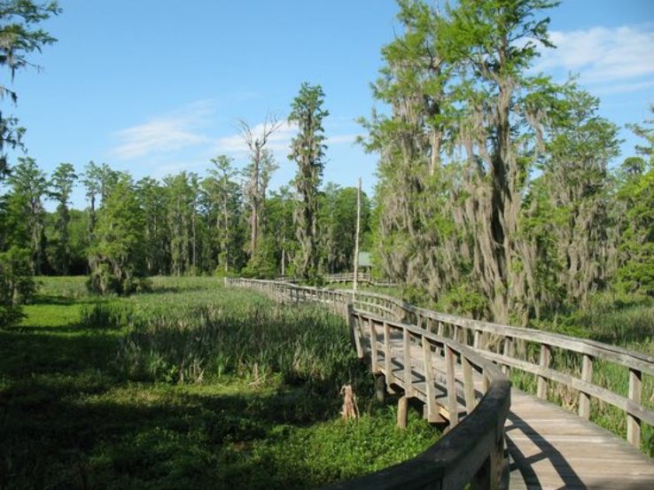 Phinizy Swamp Nature Park Trip Packages