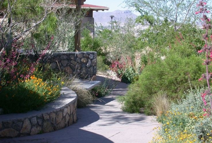 UTEP Centennial Museum and Chihuahuan Desert Gardens Trip Packages