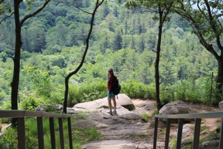 Dorset Trip Packages