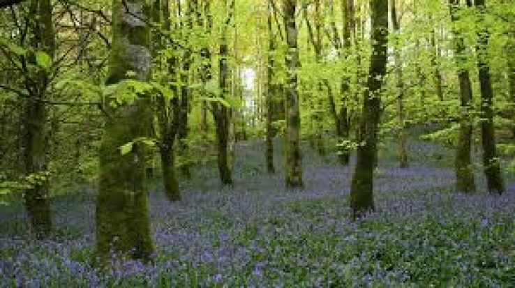 Monaghan Trip Packages