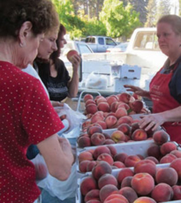 Little History with Apples  Trip Packages