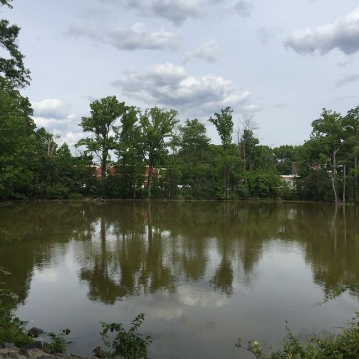 Oak Tree Pond Park Trip Packages