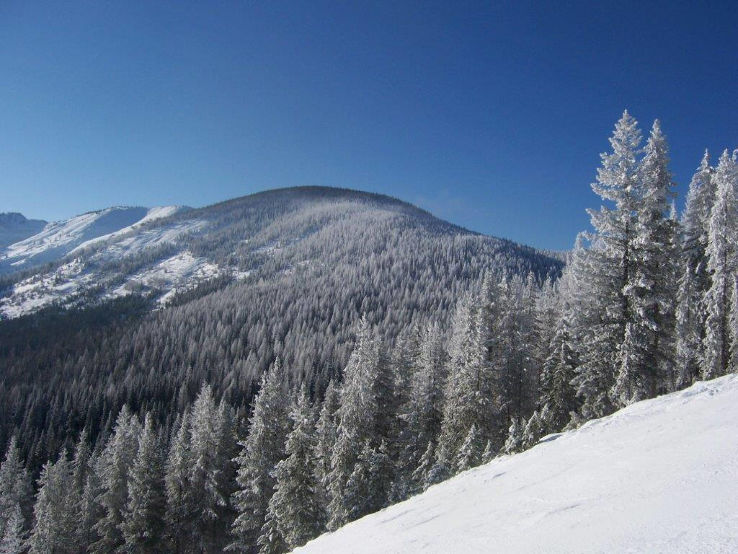 Lookout Pass Ski & Recreation Area  Trip Packages