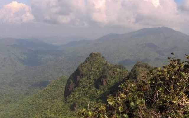 El Yunque National Forest  Trip Packages