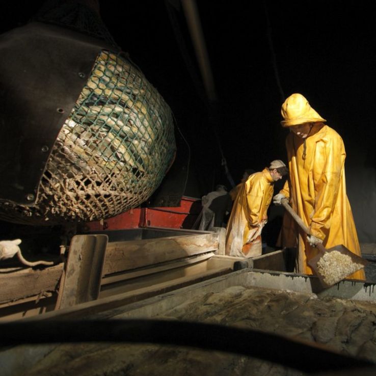 Grimsby Fishing Heritage Center  Trip Packages