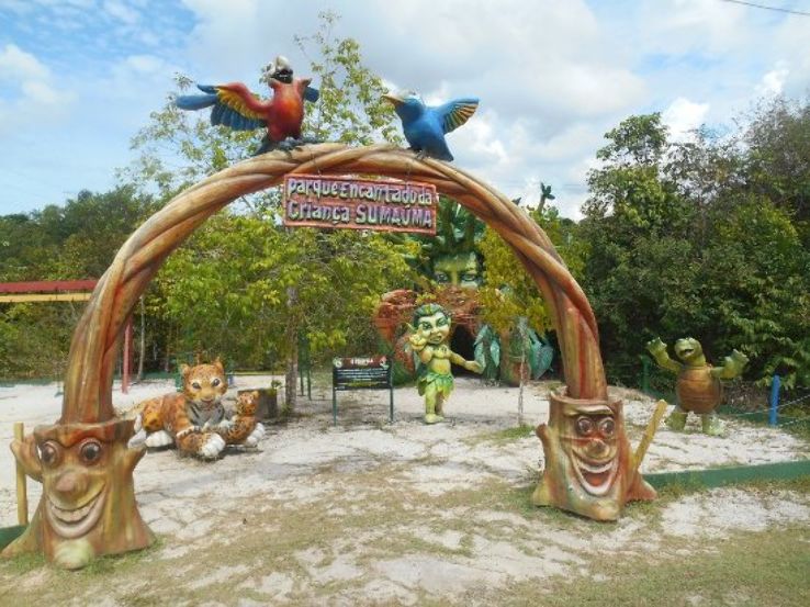 Sumauma State Park Trip Packages