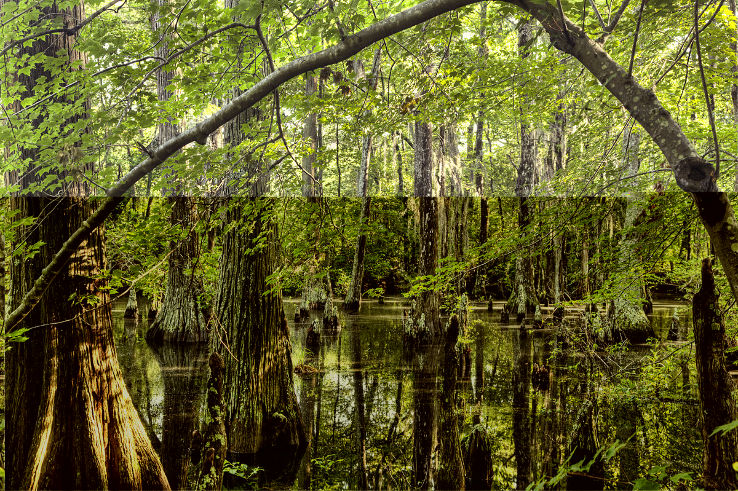 First Landing State Park Trip Packages