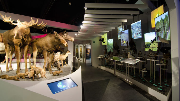 Natural History Museum Trip Packages