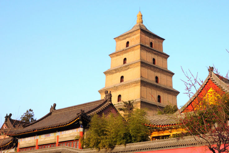 Giant Wild Goose Pagoda Trip Packages