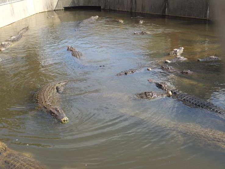 Oniyama Jigoku Trip Packages