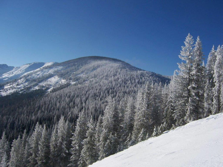Lookout Pass Trip Packages