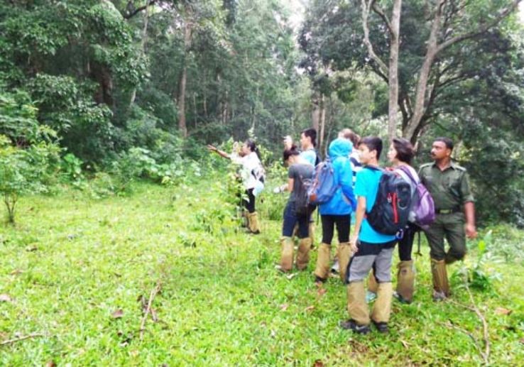 Best 3 Days 2 Nights Thekkady Vacation Package