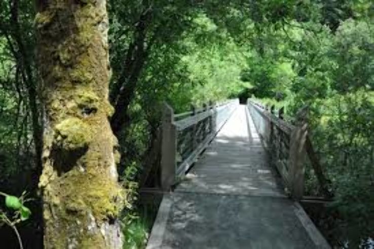 Tacoma Nature Cente Trip Packages