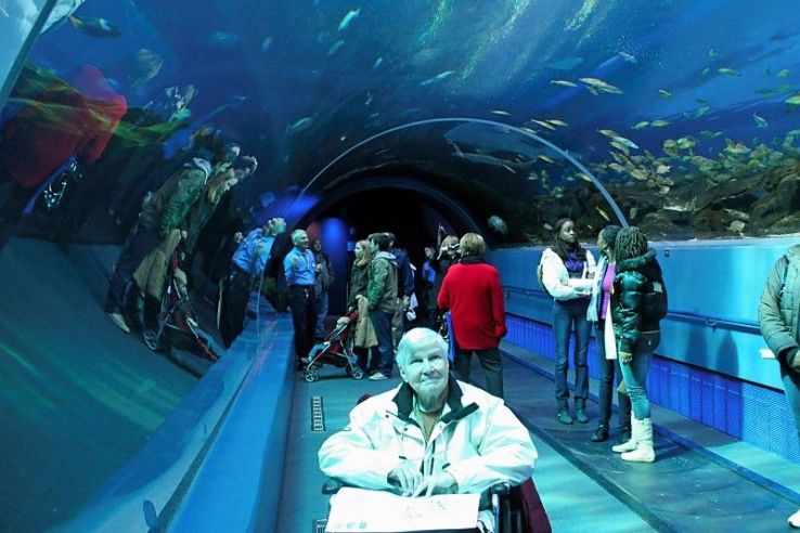 Aquarium of Rhodes Trip Packages