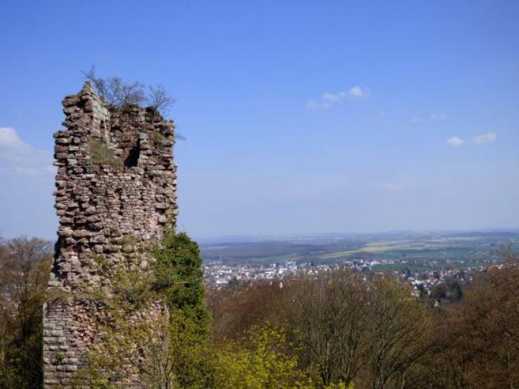 Chateau de Greifenstein Trip Packages