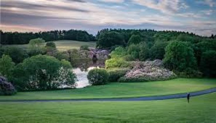 Rossmoor Forest Park Trip Packages