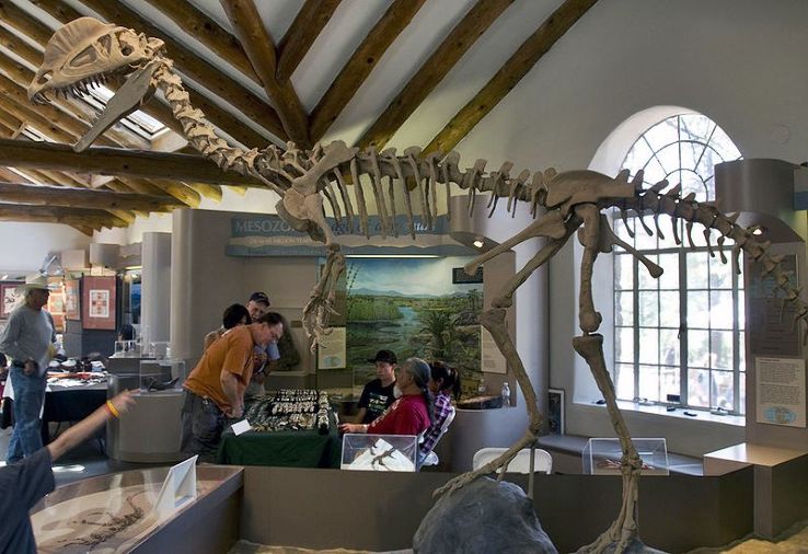 Museum of Northern Arizona  Trip Packages