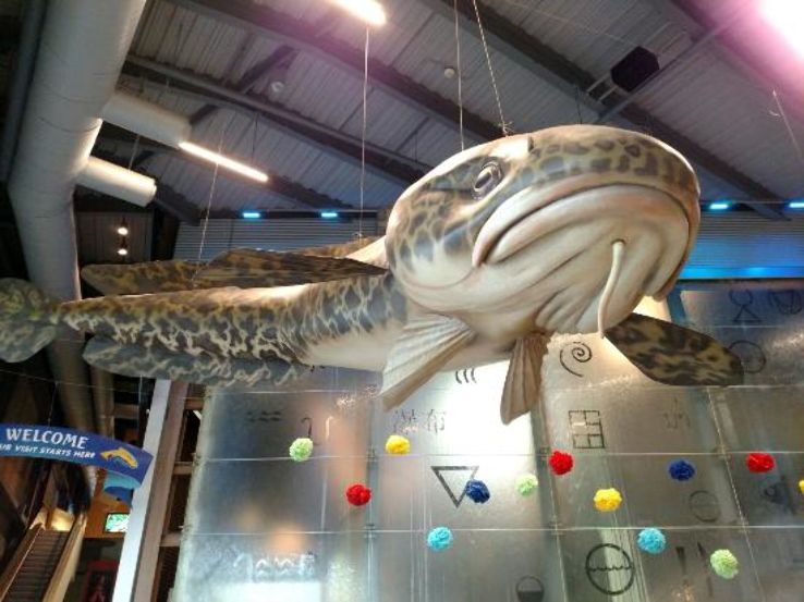 Great Lakes Aquarium, minnesota, United States Of America - Top  Attractions, Things to Do & Activities in Great Lakes Aquarium